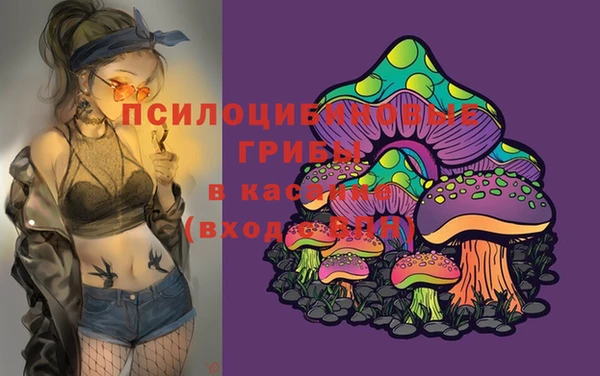 альфа пвп Заводоуковск