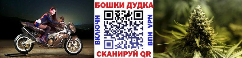 купить  цена  Славгород  Бошки Шишки конопля 