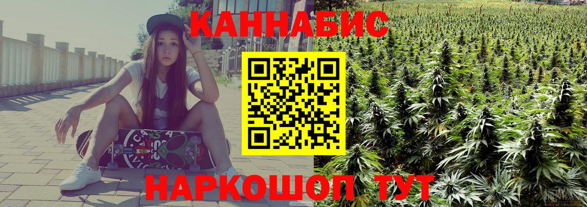 Конопля конопля Славгород